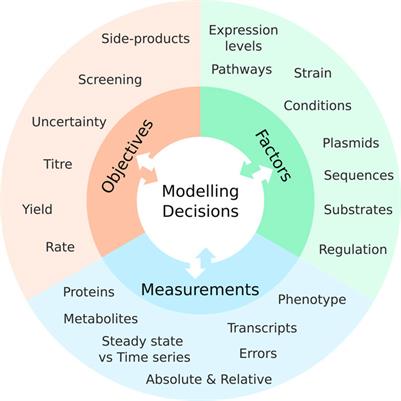 Questions, data and models underpinning metabolic engineering